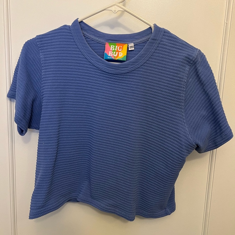 Big Bud Press crop top blue XXS